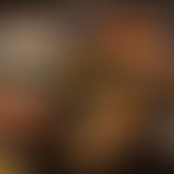 From Spice Routes to Spotlight: The Future of Indian Dining in Singapore