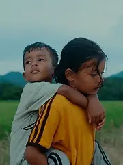 LES FLEURS DU MANGUIER.webp