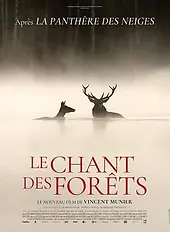 LE CHANT DES FORÊTS.webp