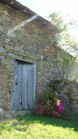 DSC04087