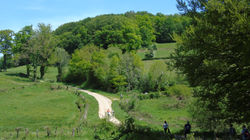 DSC04142