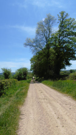 DSC04137