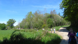 DSC04105