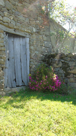 DSC04084