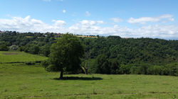 20160611_153537