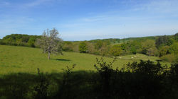 DSC04063