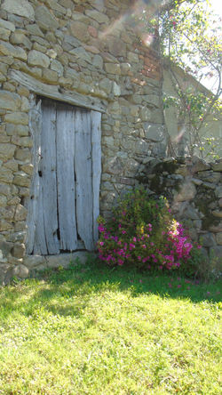 DSC04086