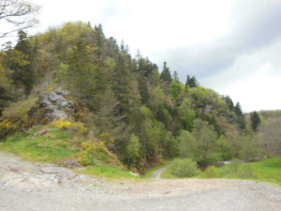 DSCN1766