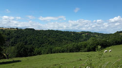 20160611_153533