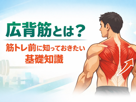 広背筋 筋トレ｜効果的な鍛え方と初心者でも失敗しないトレーニング完全ガイド