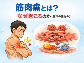 筋肉痛 効いてる証拠|筋トレ後の痛みは本当に効果のサイン?