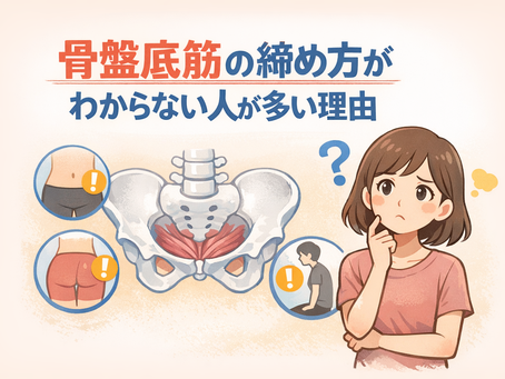 骨盤底筋 締め方 わからない人へ｜正しい感覚と確認方法