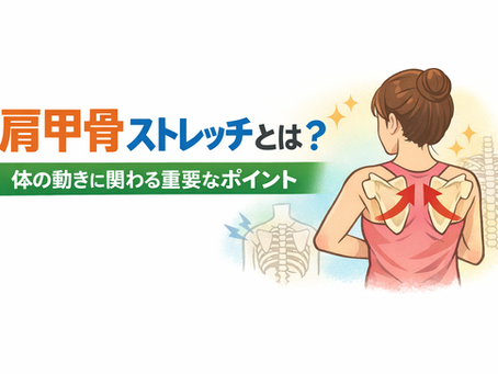 肩甲骨ストレッチ｜簡単にできる方法と効果・正しいやり方を解説