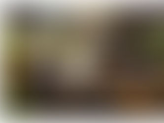 LES PLANTES QUI GUÉRISSENT LES GENCIVES - ENTRE TRADITIONS ET BIOLOGIE