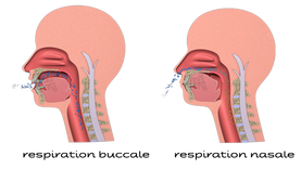 Respiration buccale : un désastre silencieux pour la santé bucco-dentaire