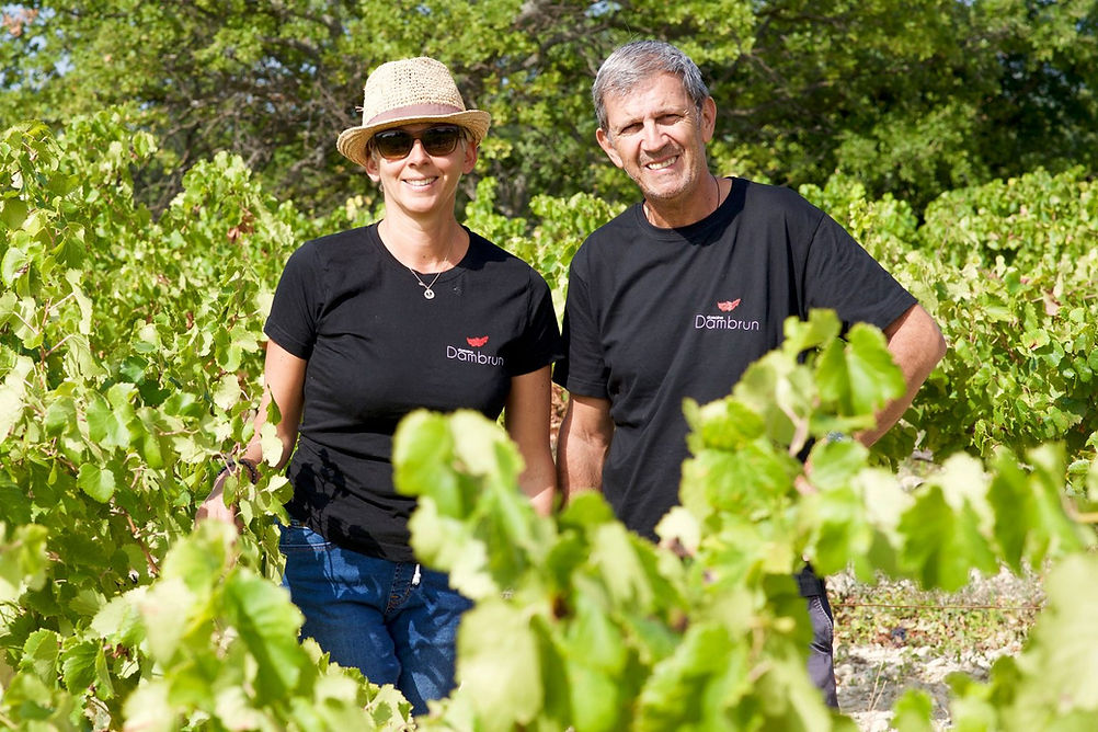 domaine_Dambrun_Laurence_Patrick_vignes-1536x1024.jpg
