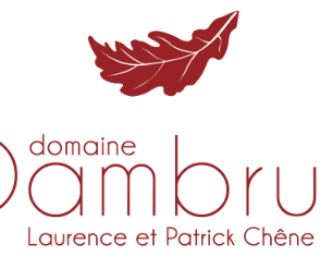 Logo Domaine Dambrun