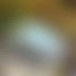 Automne valais @youpitrip