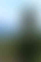 visiter saillon @youpitrip