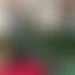 Marché de Sion @youpitrip