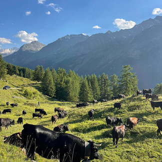 Val d'Hérens @youpitrip
