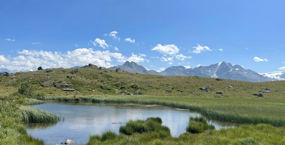 Valais - Essertze - Youpitrip