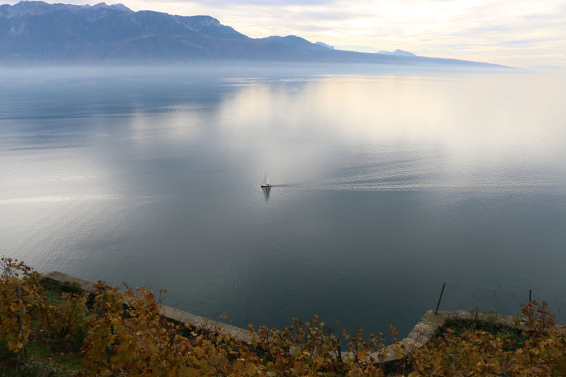 lavaux @youpitrip.ch