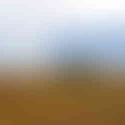 lavaux @youpitrip.ch