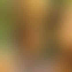 Brisolée valais @youpitrip.ch