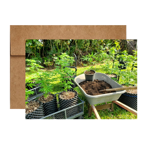 Thumbnail: Measuring Prosperity Cannabis greeting card
