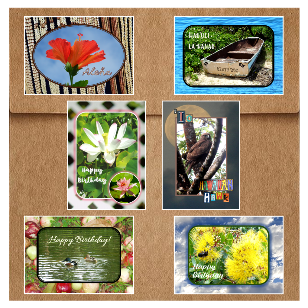 Thinking of You Too Box set of 6 greeting cards