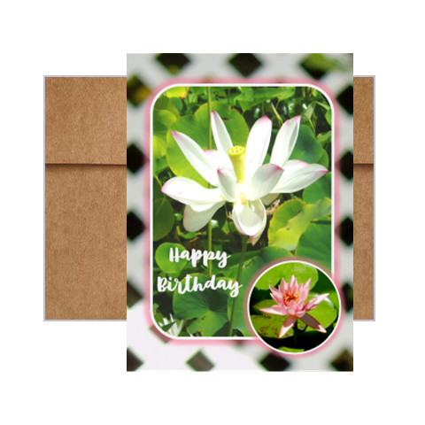 water lilies lattice work