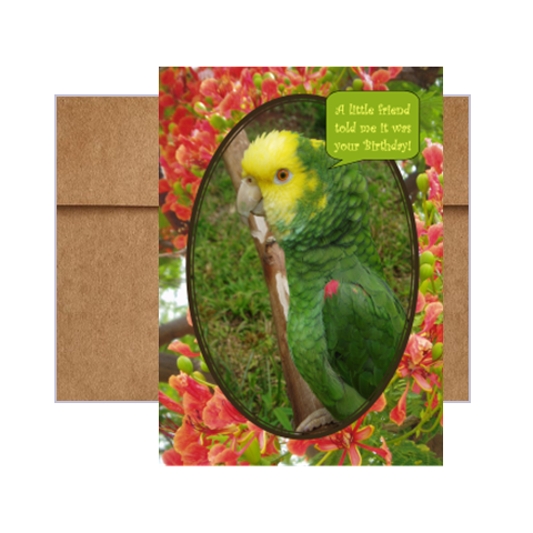 Thumbnail: Birdie Birthday greeting cards