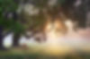 Paysage nature