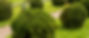 Banner Aménagement de jardin