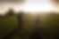 shutterstock_537549946.jpg