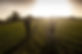 shutterstock_537549946.jpg