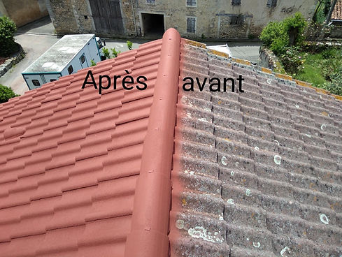 Entretien et rénovation de votre toiture Vert Habitat
