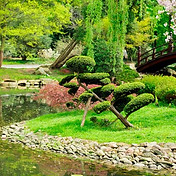 Jardin japonais