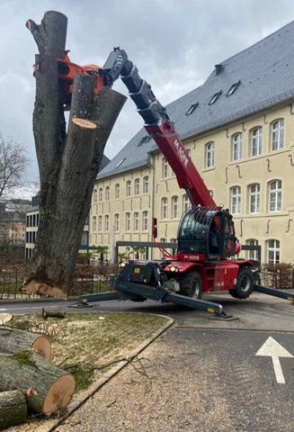 Den Holzmich Luxembourg