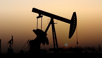 photo mar 25 2024, 4 20 49 am (1).png