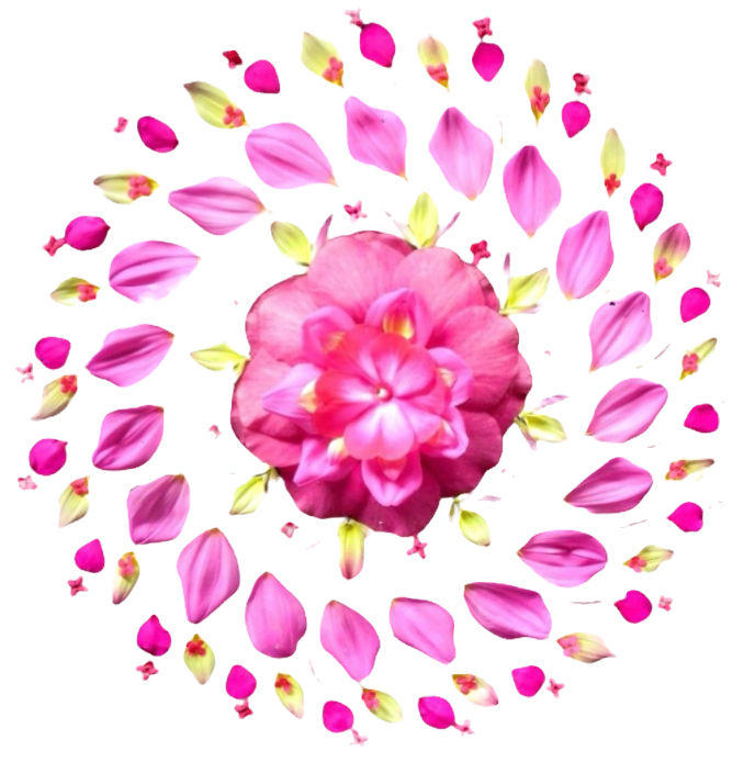 Energiearbeit_Spirituelles_Heilen_Ausbildung_Luchsinger_Energetisches_Heilen_EnergieHeilen