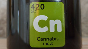 Legalize it. Don’t criticize it.