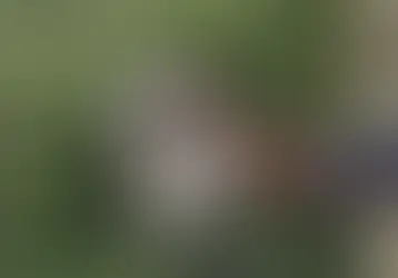 Vol. 26 - Six Months of The Rhubarb Society