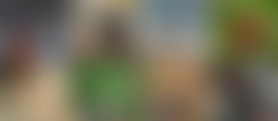 Vol. 16 - The Inspo Issue