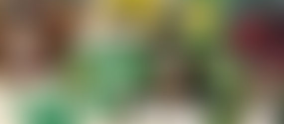 ISSUE 007 - If Lost, Please Return To The Rhubarb Society