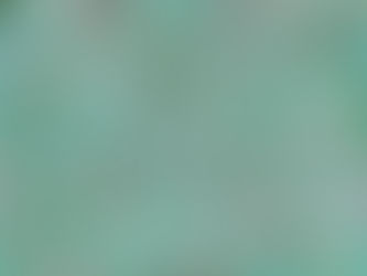 Wallpaper Woes: A Tale of Triumph and Tribulation