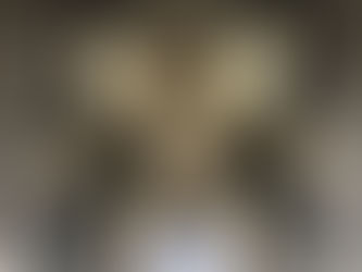 The Eye of Deception and the Sun of False Light