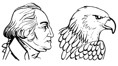 An "aquiline" nasal profile