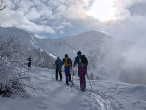 Season Diary - Day 15